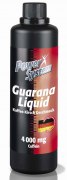 Заказать Power System Guarana Liquid 500 мл